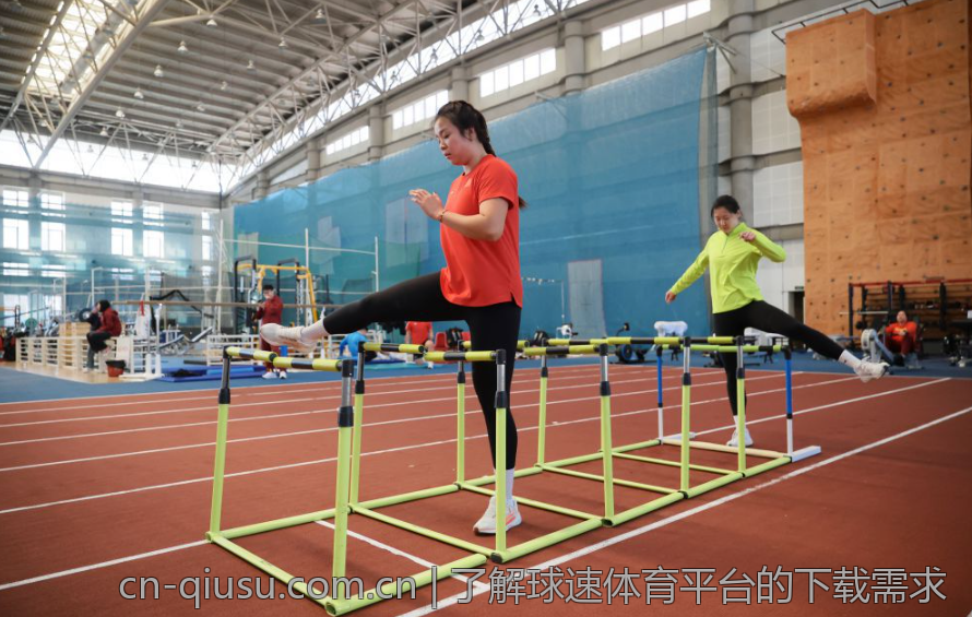了解球速体育平台的下载需求